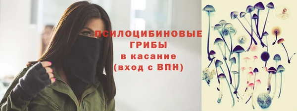 а пвп мука Алзамай
