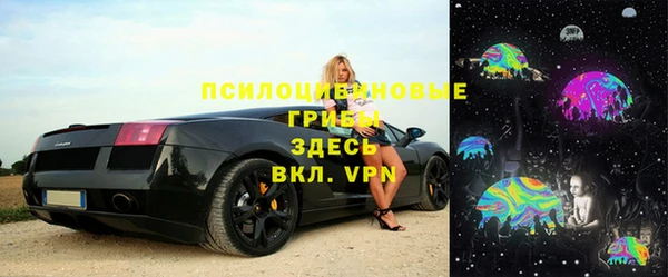 а пвп мука Алзамай